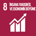 SDG 8: AMAÇ 8: İNSANA YAKIŞIR İŞ VE EKONOMİK BÜYÜME